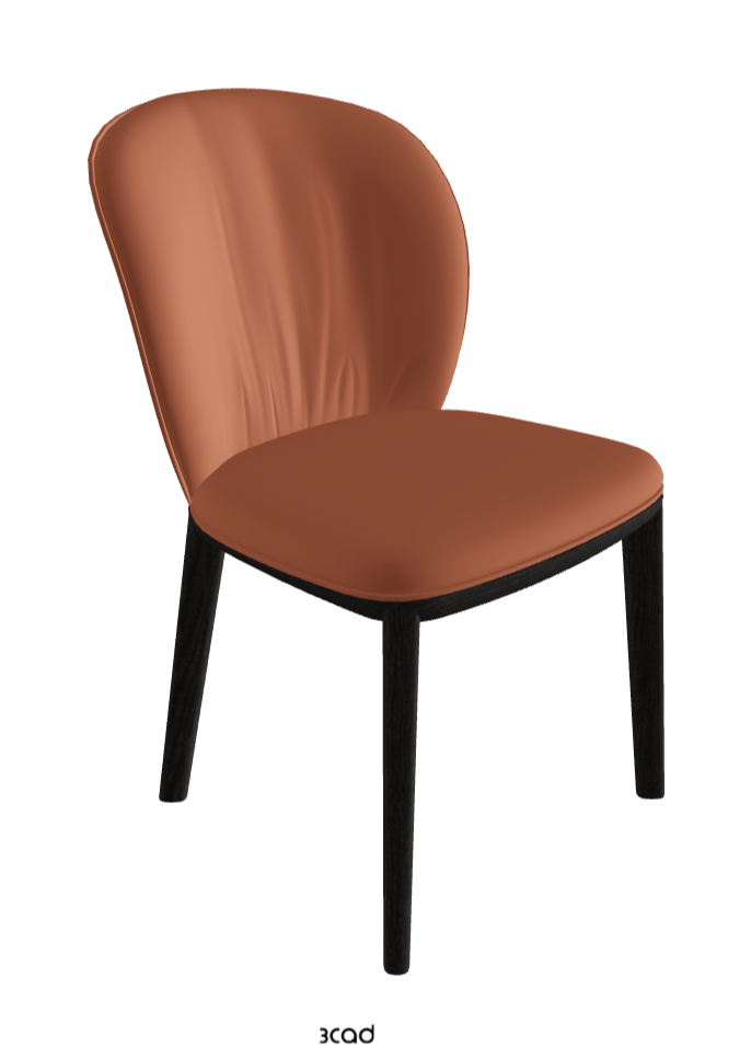 Chris Dining Chair_Open Pore Matt Black Ashwood_Soft Leather_Canyon