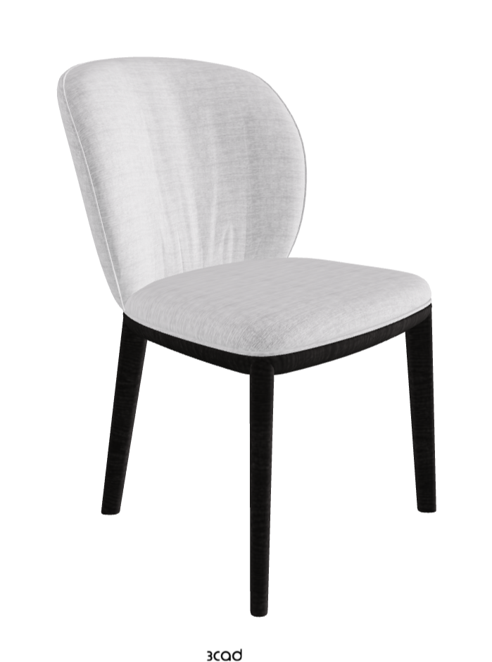 Chrishell Dining Chair_Open Pore Matt Black Ashwood_Fabric_B810