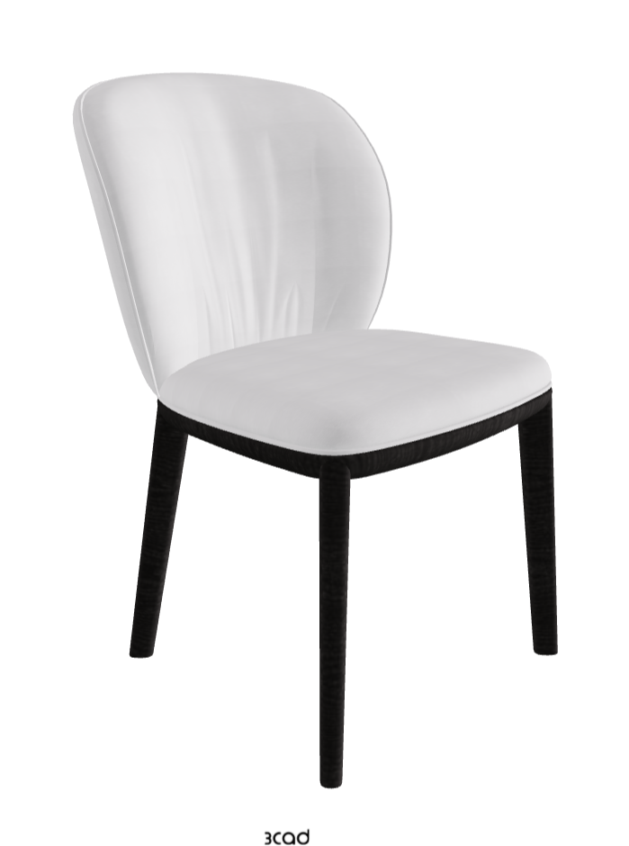 Chrishell Dining Chair_Open Pore Matt Black Ashwood_Fabric_B921