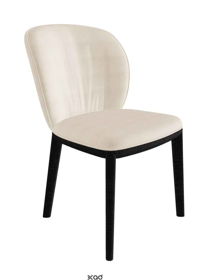 Chrishell Dining Chair_Open Pore Matt Black Ashwood_Fabric_B922