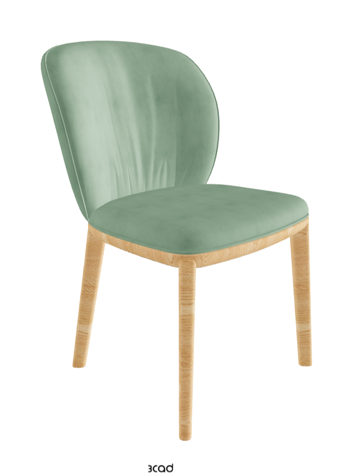 Chrishell Dining Chair_Natural Ashwood_Micro Nubuk_Mint