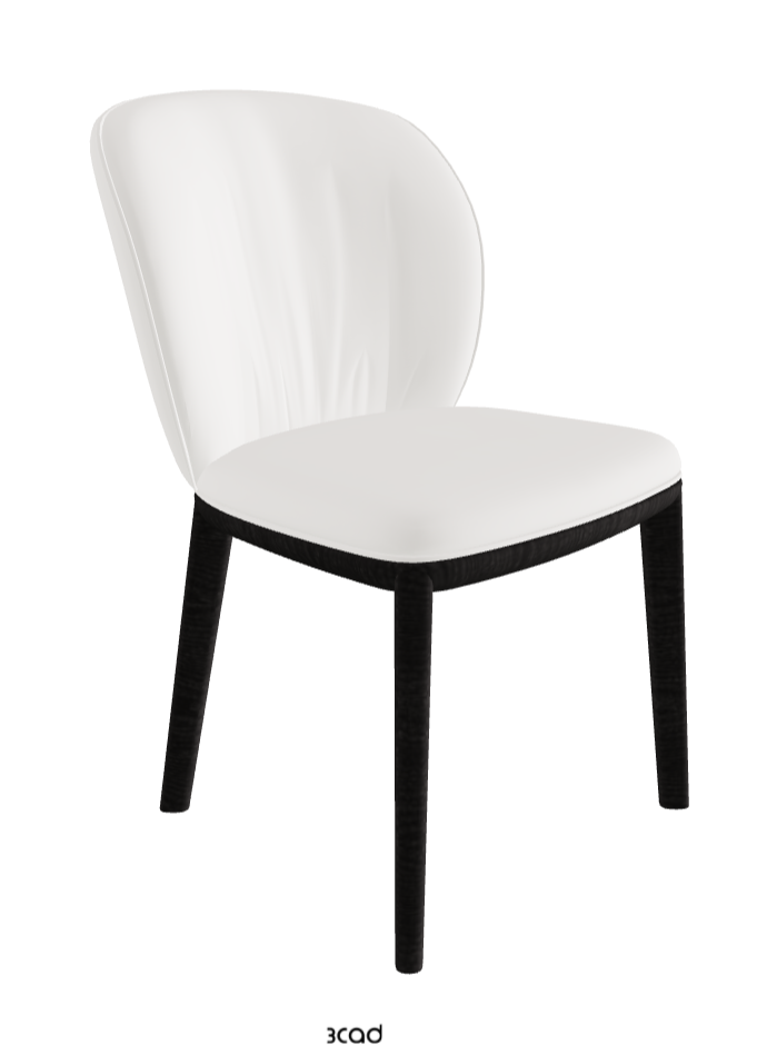 Chrishell Dining Chair_Open Pore Matt Black Ashwood_Soft Leather_Palladio