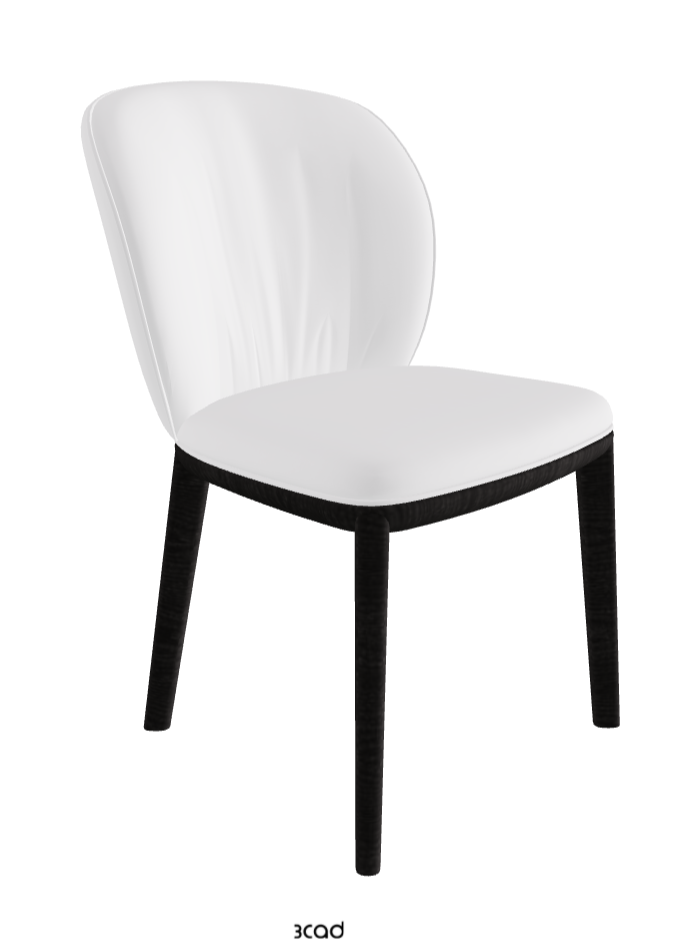 Chrishell Dining Chair_Open Pore Matt Black Ashwood_Soft Leather_Bianco
