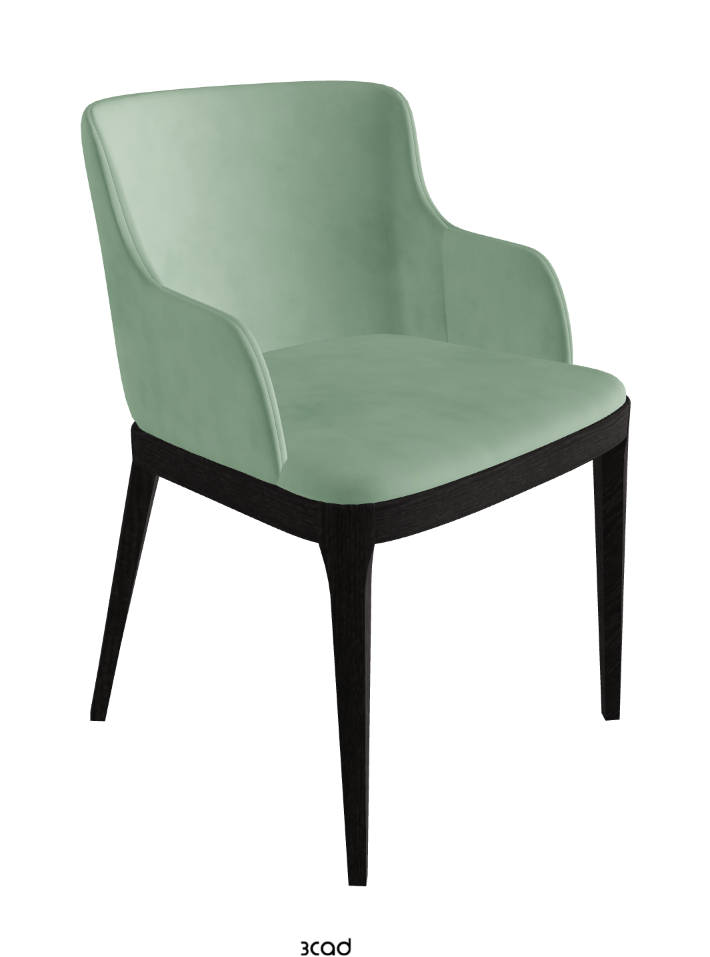 Magda Dining Armchair_Open Pore Matt Black Ashwood_Micro Nubuk_Mint