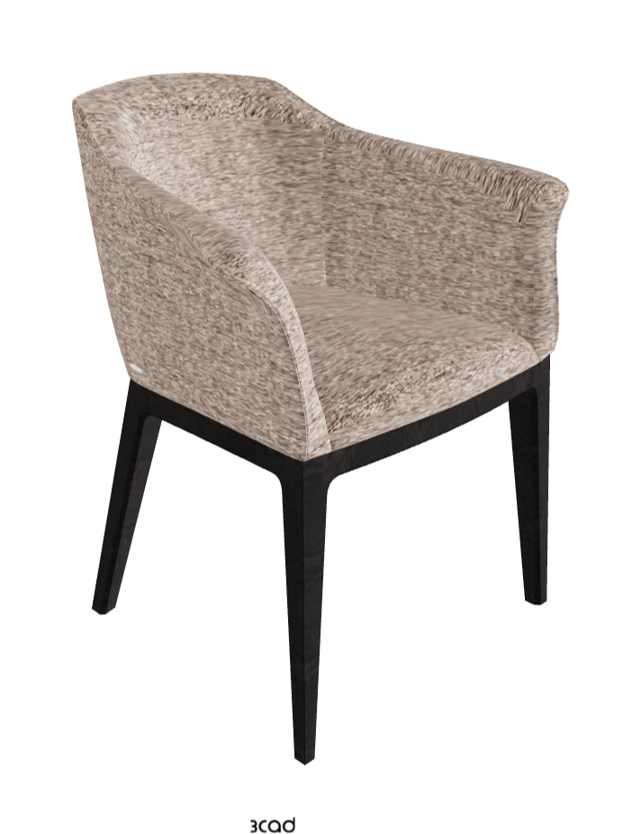 Musa Dining Armchair_Open Pore Matt Black Ashwood_Fabric_B731