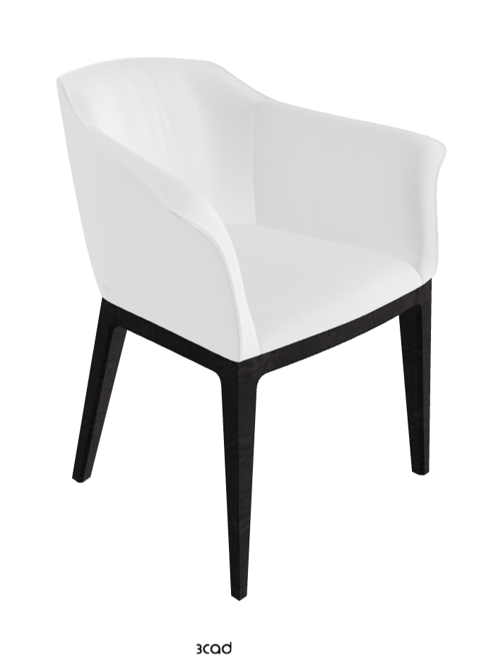 Musa Dining Armchair_Open Pore Matt Black Ashwood_Fabric_B920