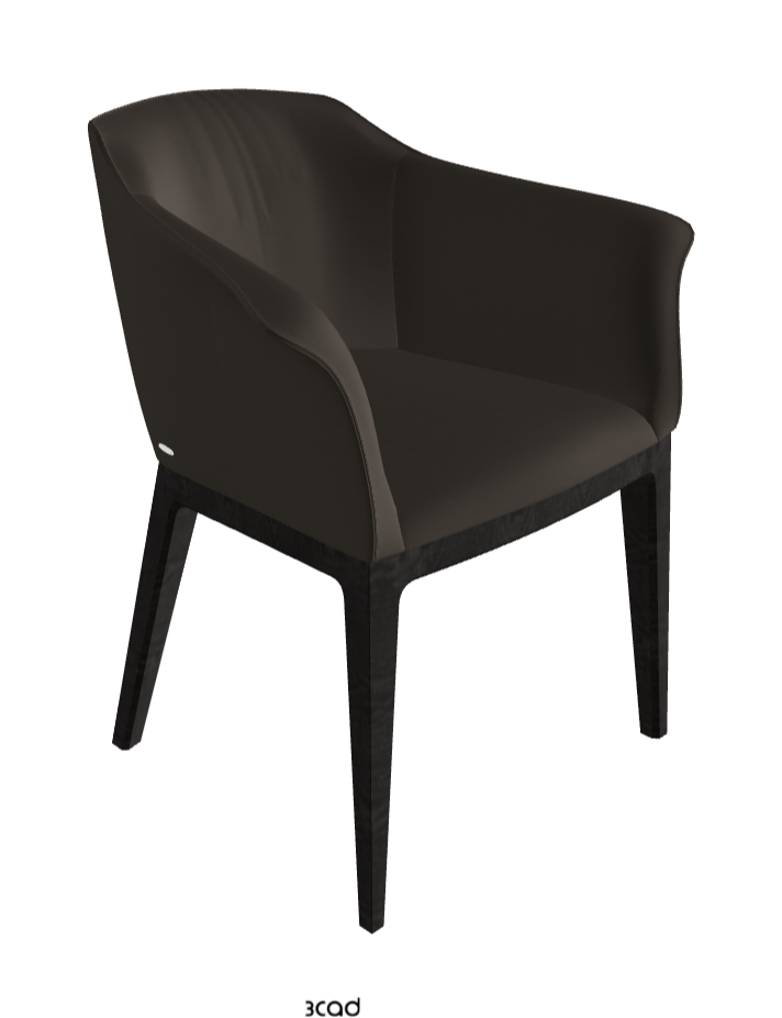 Musa Dining Armchair_Open Pore Matt Black Ashwood_Synthetic Leather_Fossil