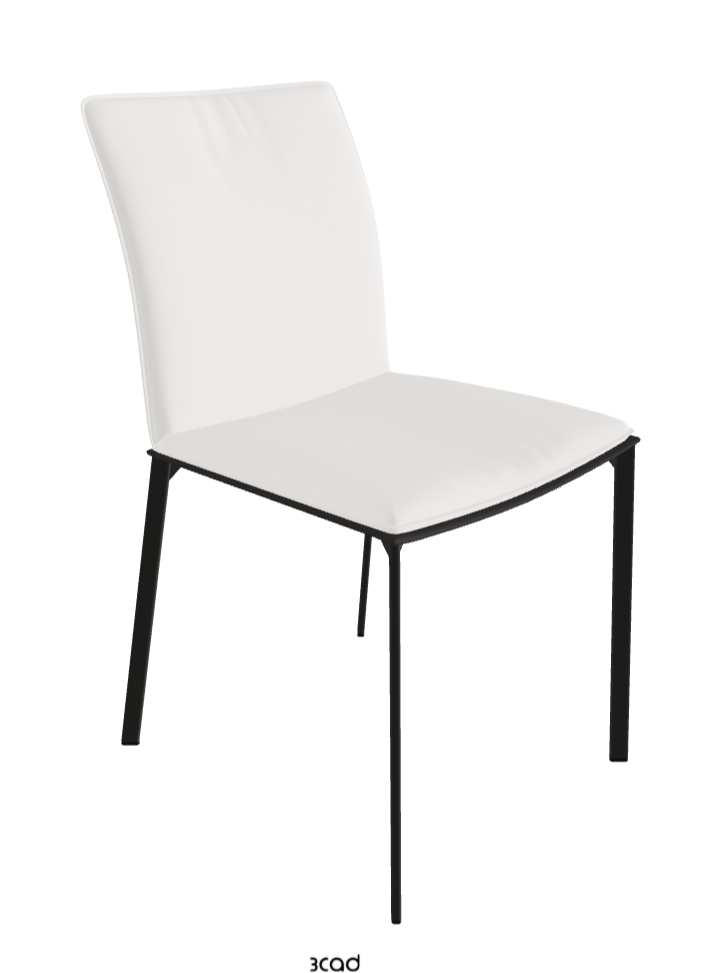 Rita Dining Chair_Matt Graphite_Soft Leather_Palladio