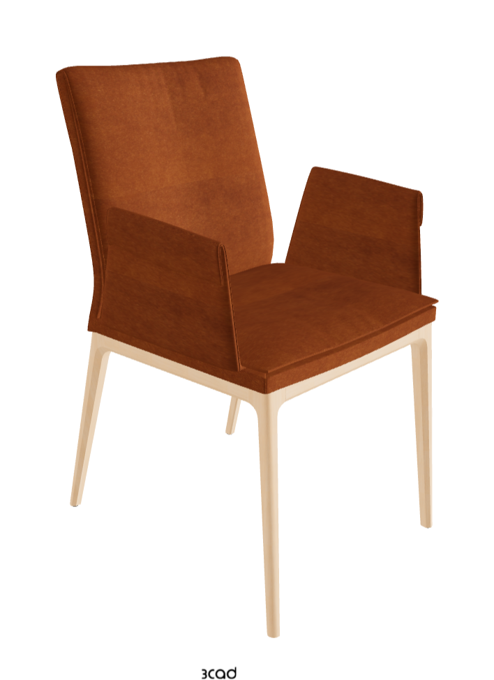 Sofia Dining Armchair_Natural Stained Beech_Fabric_B930