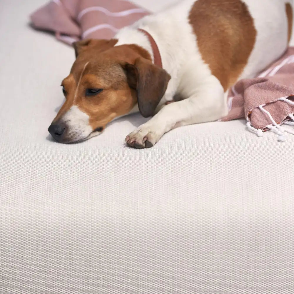 Manutti Flows Large Footstool