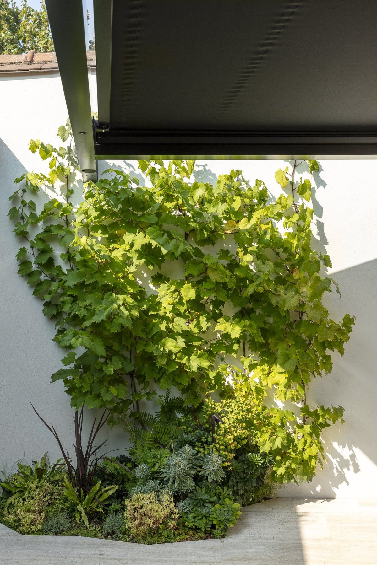 Secret Garden Roof Umbris Pergola – project photograph 11