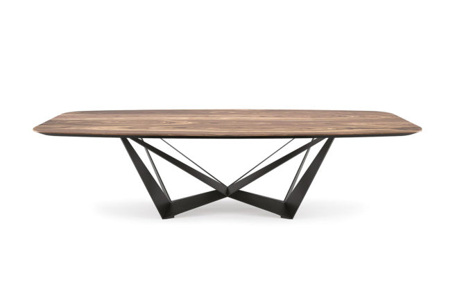 Cattelan Italia Skorpio Wood Barrel-Shaped Dining Table – Fast Delivery