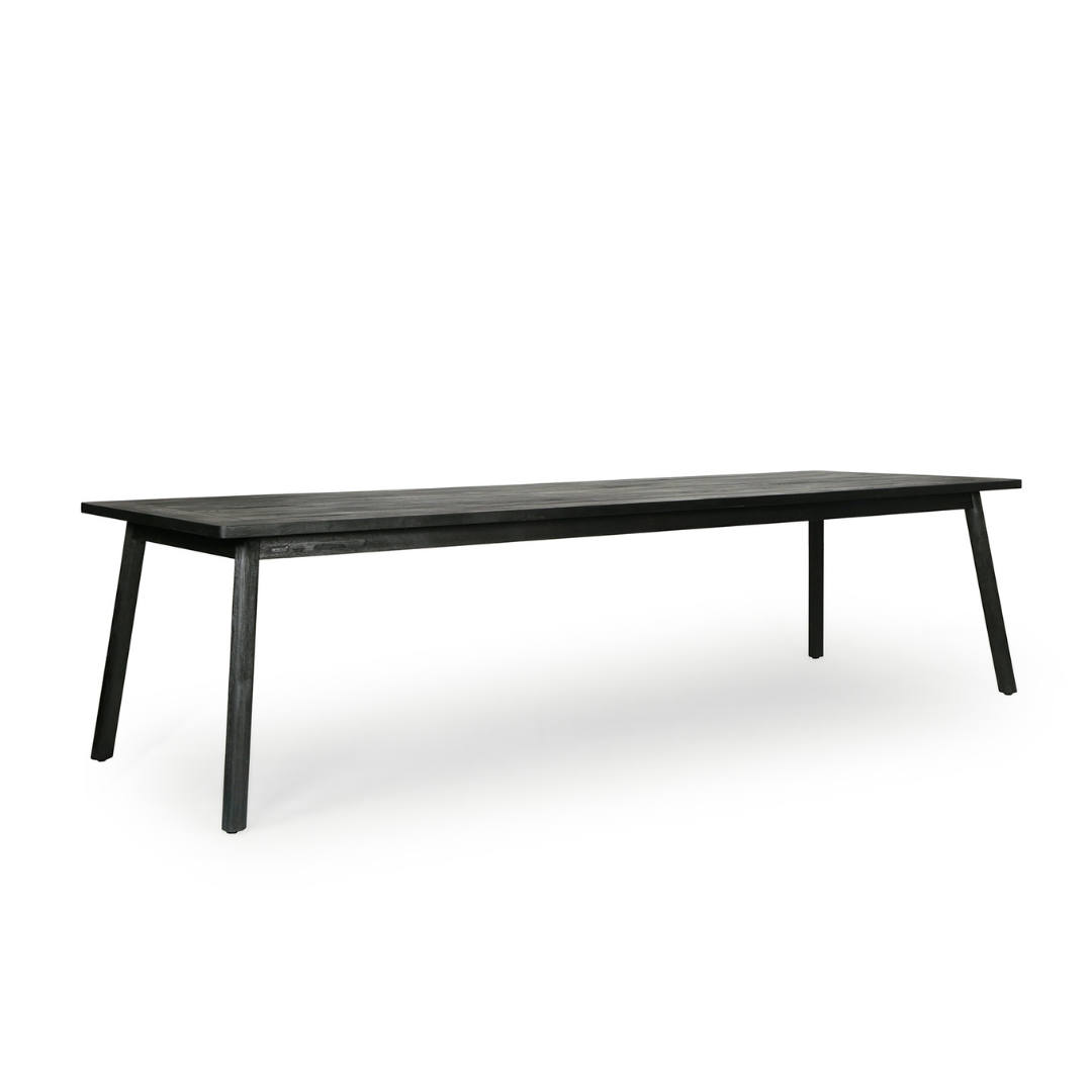 Dining table 300 x 100 cm